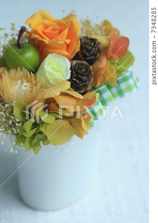 preserved flower 7348285