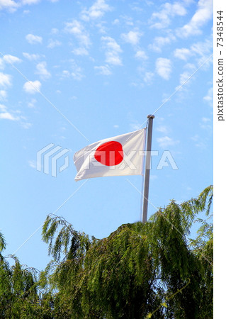 A national flag 7348544