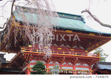 神社靖國神社 7348670