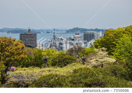 Shikama Shrine Pref的Shiogama港口。 7350086
