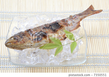Salt-grilled amago Salt-grilled amago 7350551