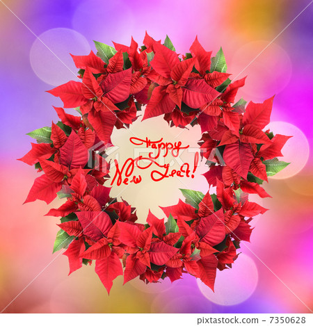 christmas wreath from poinsettia on color light background 7350628