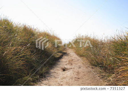 Mountain road Mountain road 7351327