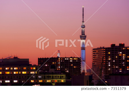 天空樹 天空樹 7351379