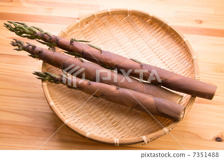 Bamboo bamboo shoots 7351488