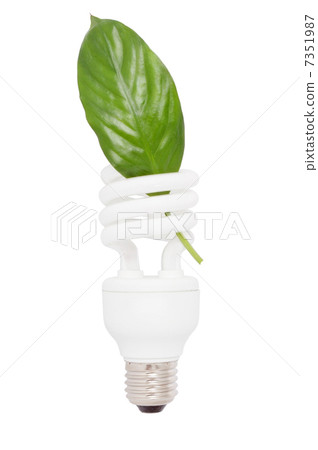 Fluorescent lamp to save electricity and ecologically clean. Wit Fluorescent lamp to save electricity and ecologically clean. Wit 7351987