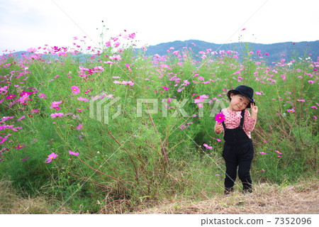 在宇宙領域 在宇宙領域 7352096