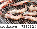 一隻蝦 7352328