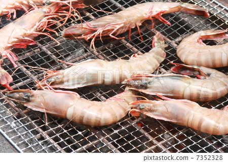 一隻蝦 一隻蝦 7352328