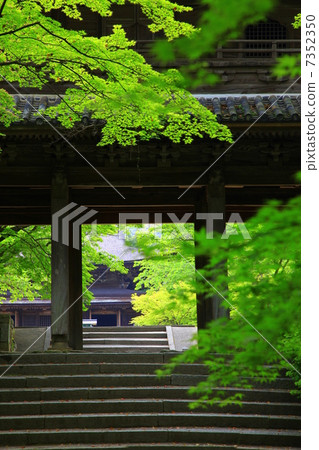 Kungsanji寺廟新綠色 7352350