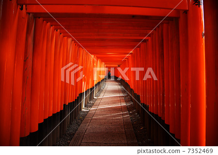 Fushimi Inari Shrine Fushimi Inari Shrine 7352469