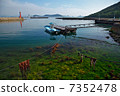 島上的風景 7352478