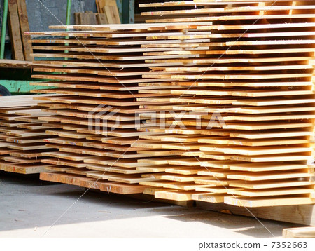 伐木場 伐木場 7352663