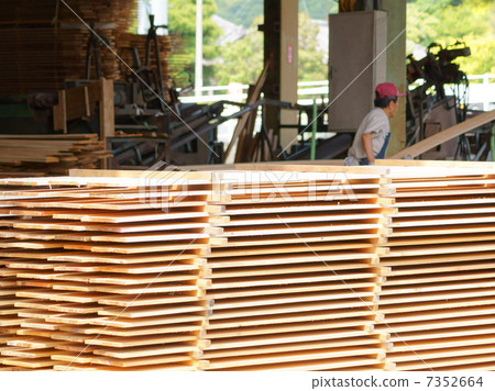 在鋸木廠工作的人 7352664