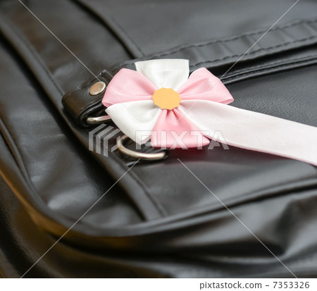 Student bag and chest chin 7353326