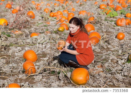 Young woman working on pumpkin field Young woman working on pumpkin field 7353368