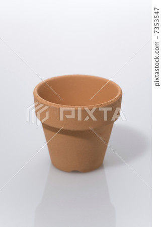 Potted plant Potted plant 7353547