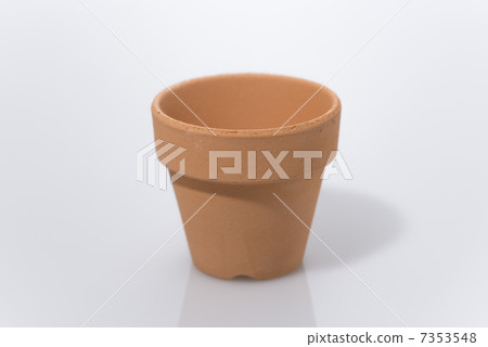 Potted plant Potted plant 7353548