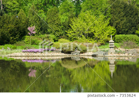 japan garden in spring, Wroclaw, Poland japan garden in spring, Wroclaw, Poland 7353624