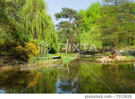 botanic garden in summer, Wroclaw, Poland botanic garden in summer, Wroclaw, Poland 7353626