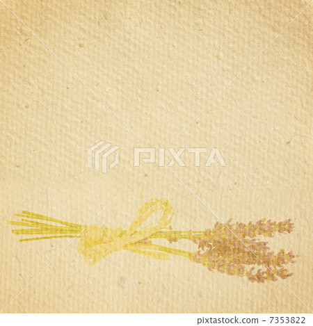 dry lavender 7353822