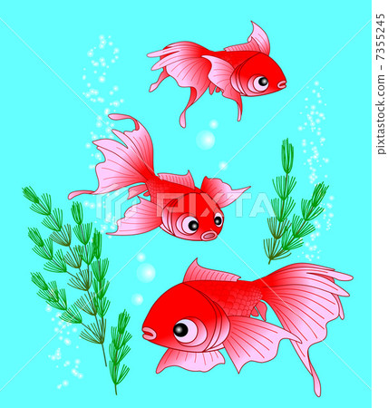 Goldfish   Goldfish   7355245