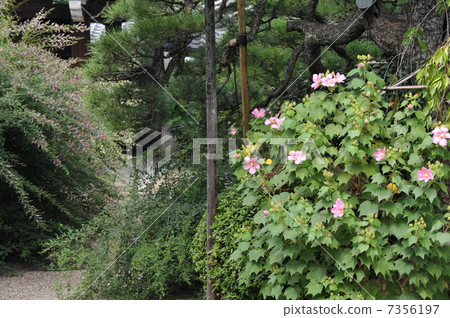 Fall of Kyoto Imperial Palace 7356197