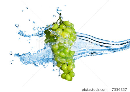 green grape with water splash isolated on white green grape with water splash isolated on white 7356837