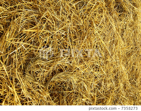 Straw texture 7358273