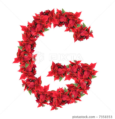letter from red christmas flowers isolated on white 7358353