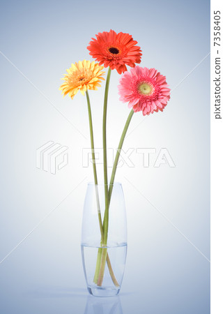 Bouquet from daisy-gerbera in glass vase Bouquet from daisy-gerbera in glass vase 7358405