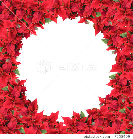 christmas frame from poinsettias isolated on white 7358409