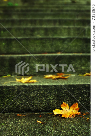 autumn leaf on stairs 7358676