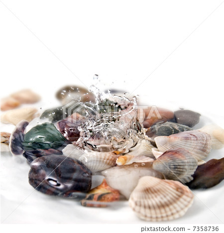 water splash with various color shells isolated on white 7358736