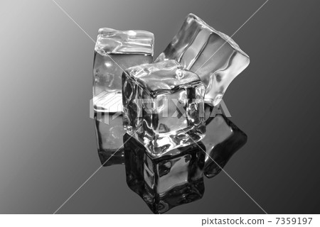 ice cubes ice cubes 7359197