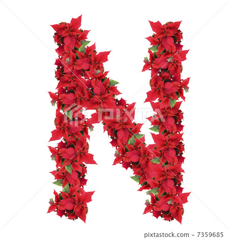 letter from red christmas flowers isolated on white letter from red christmas flowers isolated on white 7359685