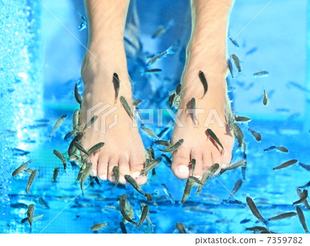 Fish Spa Fish Spa 7359782