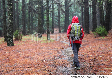 Hiking in rain Hiking in rain 7359788