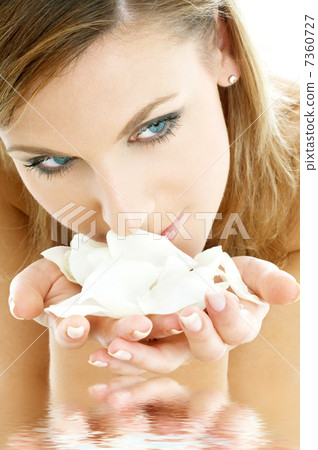 rose petals #2 in water rose petals #2 in water 7360727