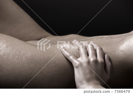 bodyscape 7366479