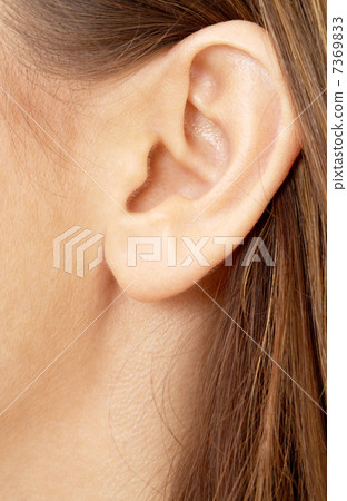 brunette girl ear brunette girl ear 7369833