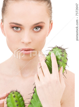 cactus cactus 7372647