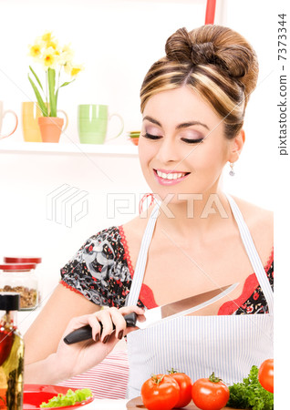 housewife housewife 7373344