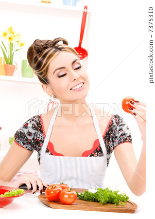 housewife housewife 7375310
