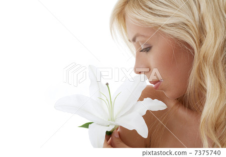 madonna lily blond madonna lily blond 7375740