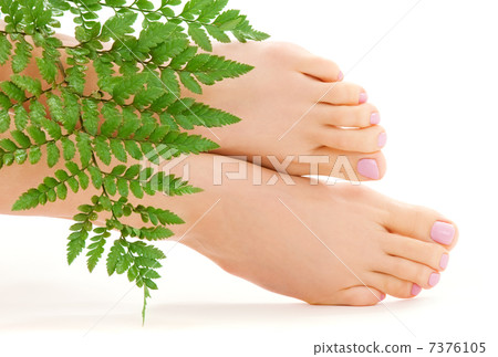 female feet with green leaf 7376105