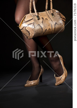 snakeskin shoes and handbag snakeskin shoes and handbag 7376319