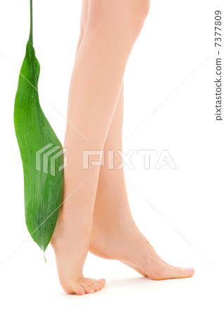 female legs with green leaf female legs with green leaf 7377809