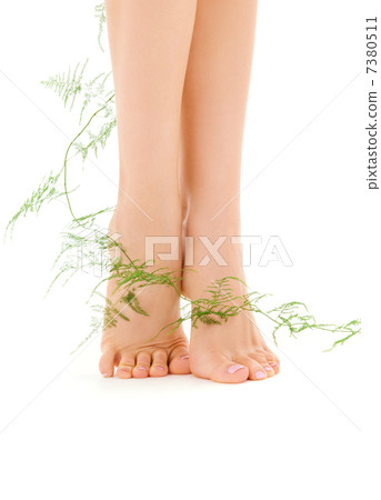 female legs with green plant 7380511