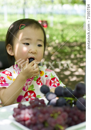葡萄切割 7380784